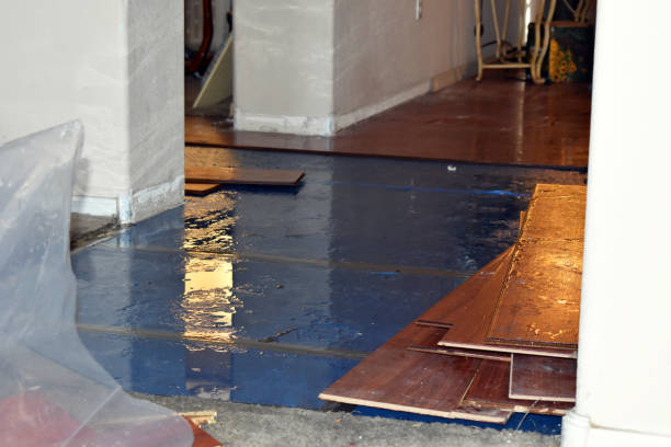 Professional Flood Cleanup technician working in Bozrah, CT